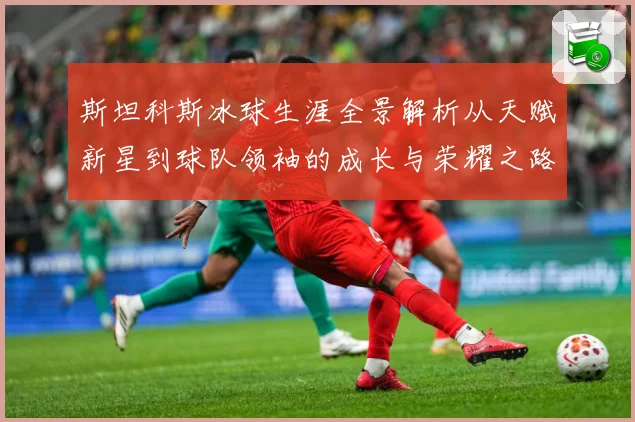 斯坦科斯冰球生涯全景解析从天赋新星到球队领袖的成长与荣耀之路：最新赛事动态与深度分析