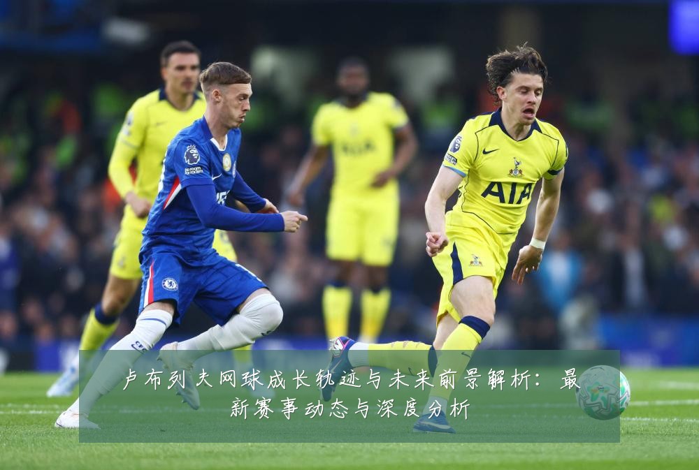 卢布列夫网球成长轨迹与未来前景解析:最新赛事动态与深度分析